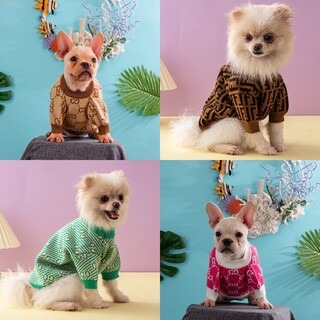 แฟชั่นสัตว์เลี้ยงสุดน่ารัก