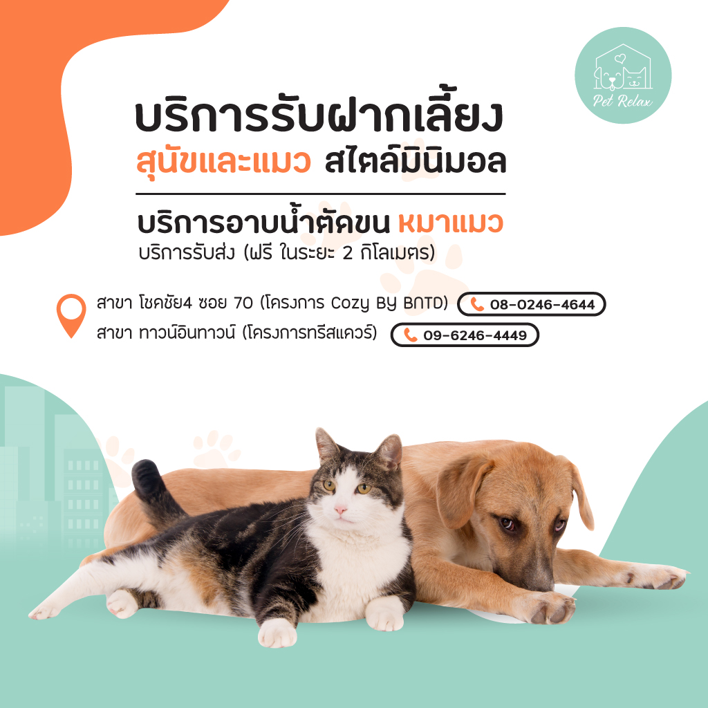 อาบน้ำตัดขน รับฝากเลี้ยงไม่ขังกรง Pet Relax